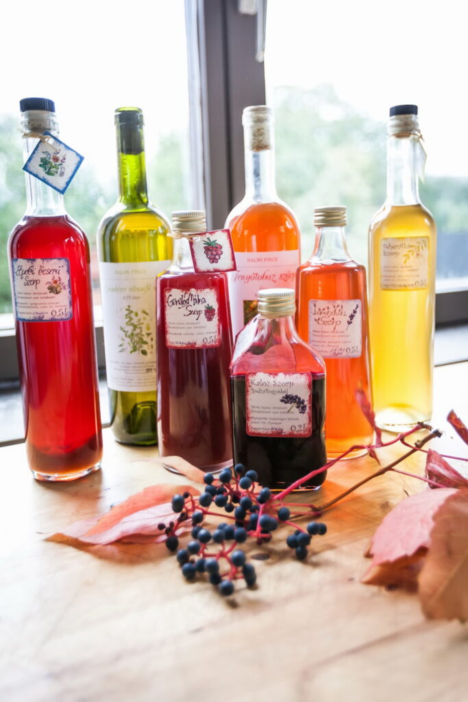 kisvilla_biatorbagy_uj_honlap_delikat_kepek_bodor_szorp